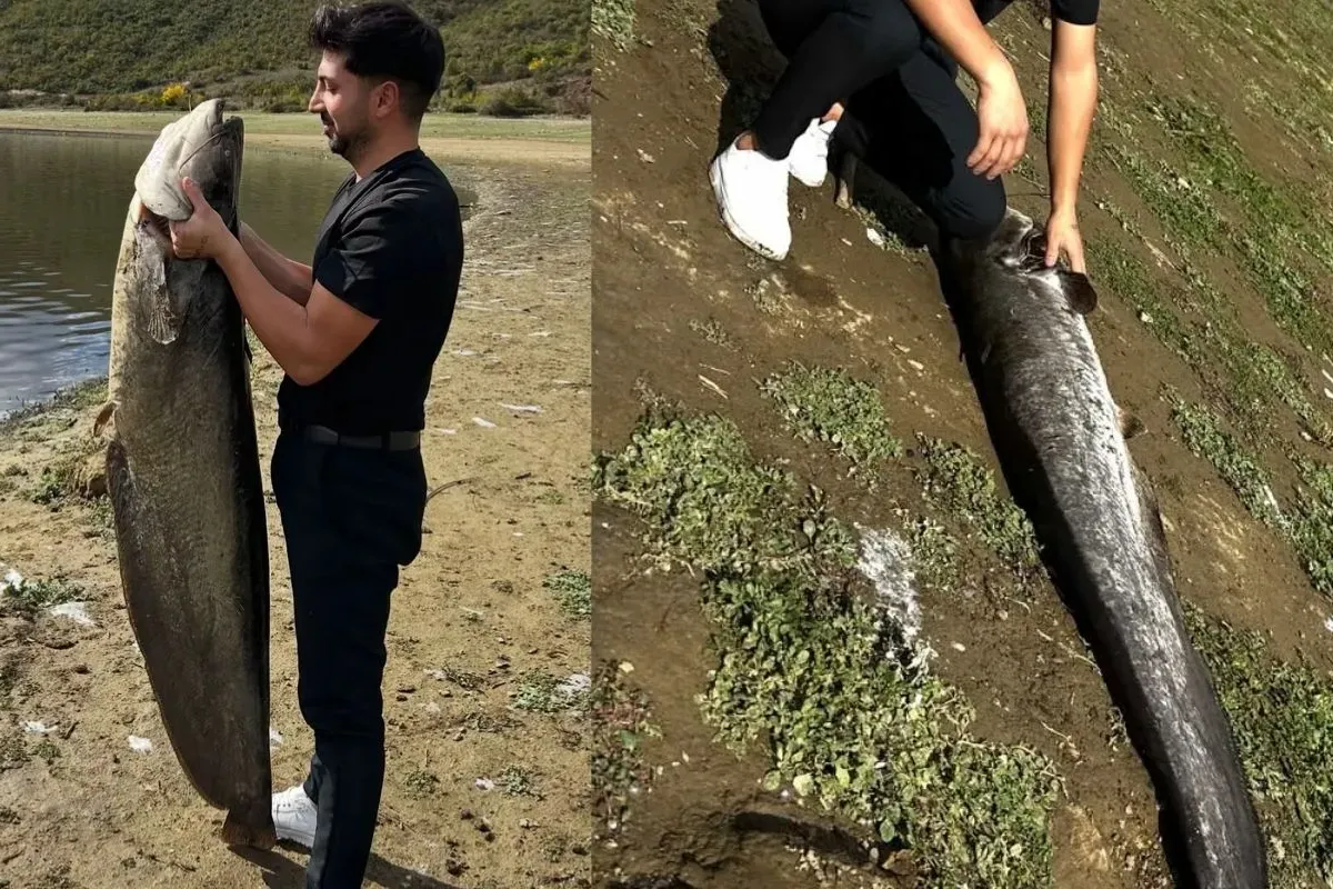 İnegöl'de yakalanan balığın boyutu ve kilosu görenleri şaşkına uğrattı!