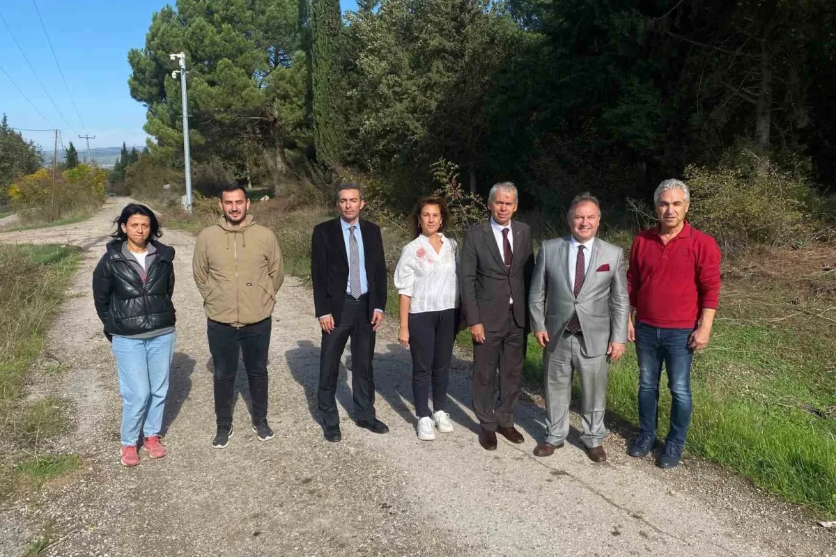 Bursa tarımına akademik bakış