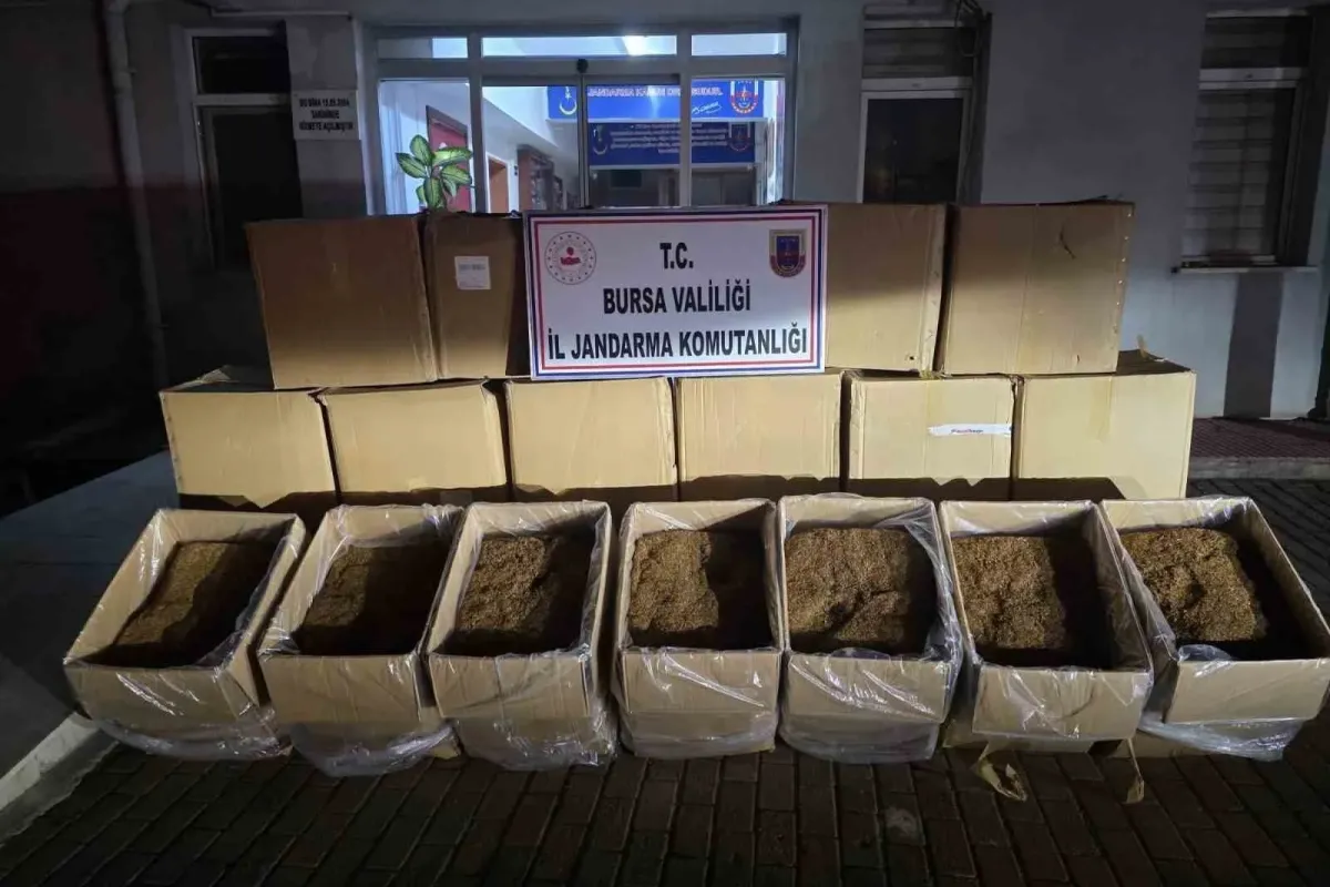 Bursa’da 750 kilogram kaçak tütün ele geçirildi