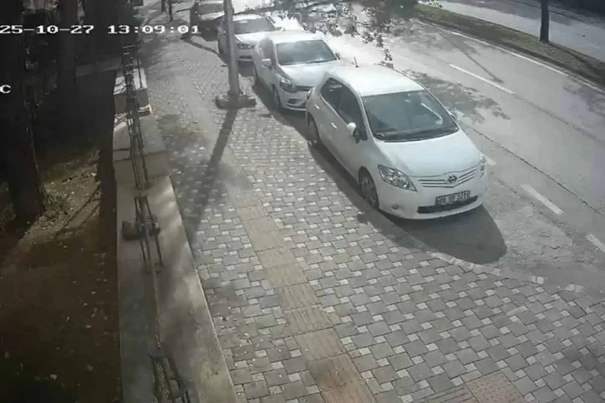 Bursa’da fırtına ağacı böyle devirdi