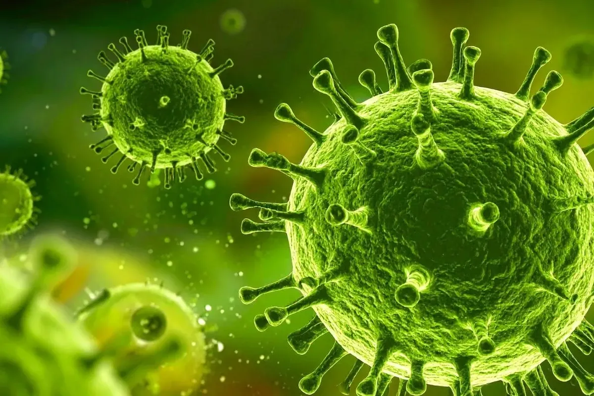 Virüs hızla yayılıyor! Yeni pandemi yolda mı?