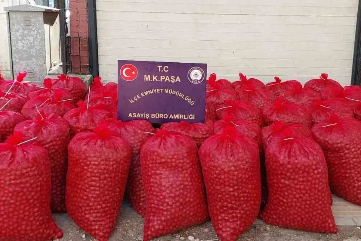 Mustafakemalpaşa’da hırsızlar 46 çuval ceviz ile yakalandı