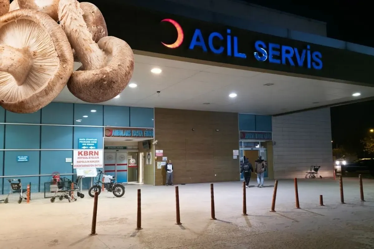 Mantar'dan zehirlenen çift hastanelik oldu!