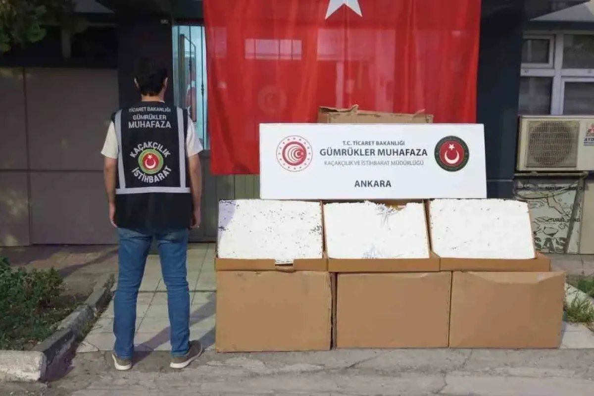 Gümrükler muhafaza ekipleri, değeri 274 milyon TL’yi aşan makaron ve makaron üretim malzemesi ele geçirdi