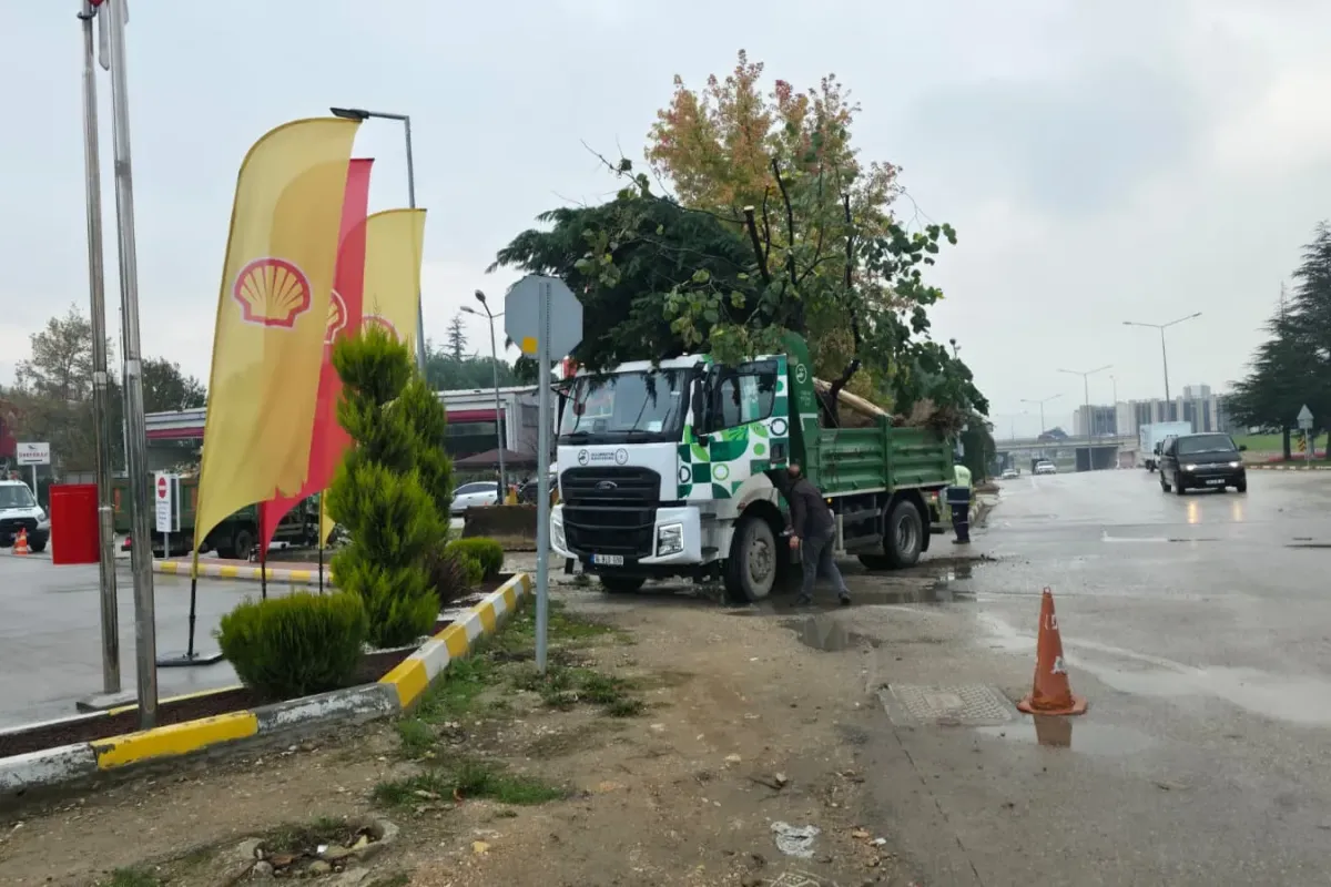 Kavşak çalışması için ağaçlar söküldü