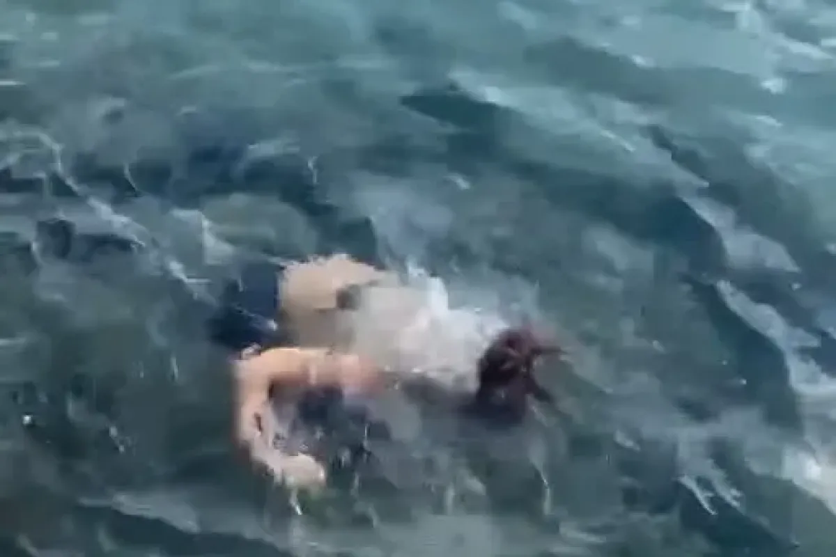 Yasemin Yürük'ün talihsiz kazası: Denize düşürdü!