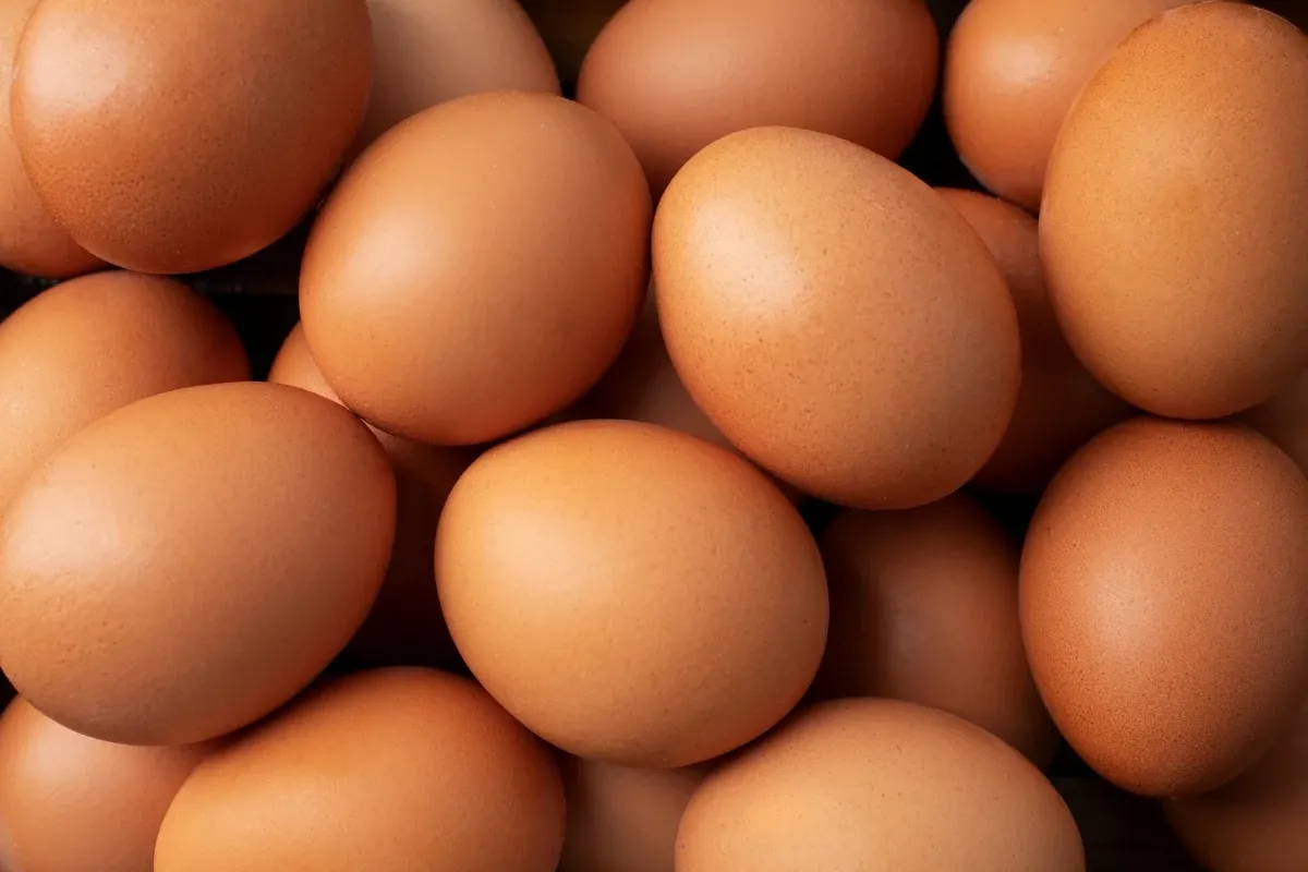 Yumurta Fiyatları Artmaya Devam Ediyor