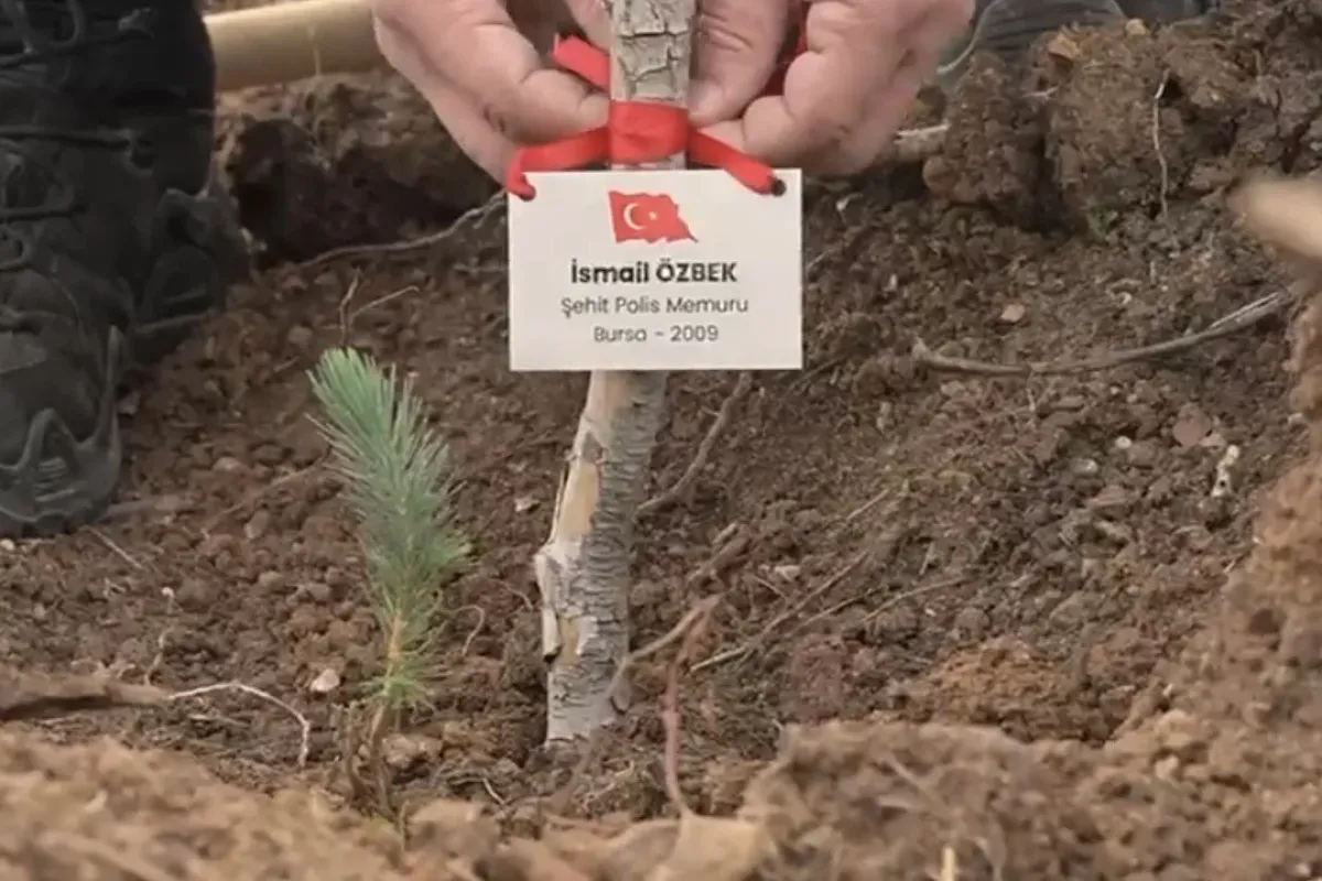 Bursa’da şehitler anısına fidan dikildi