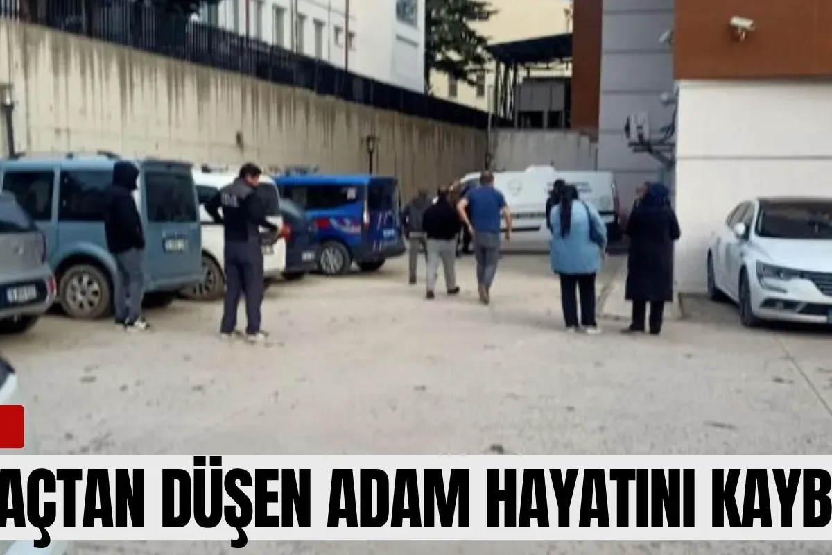 Ağaçtan düşen adam hayatını kaybetti