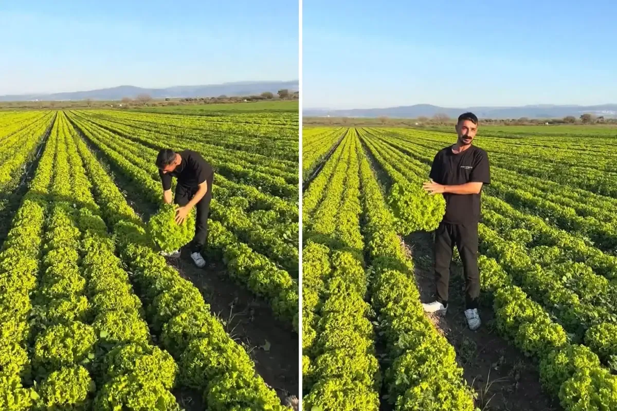 'Satarsam Şerefsizim' diyen çiftçiye büyük şok!