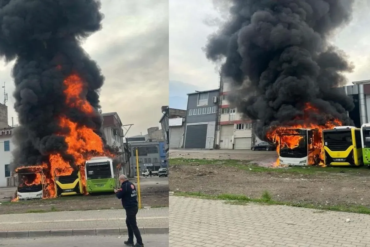 Park halindeki 3 otobüs cayır cayır yandı!