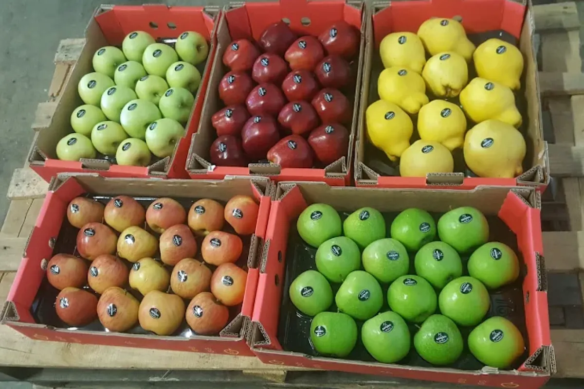 Türkiye'nin gıda devi iflasın eşiğinde!