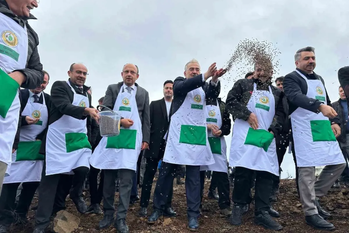 Harmancık’ta yanan 4 bin 256 hektar alan ağaçlandırılıyor