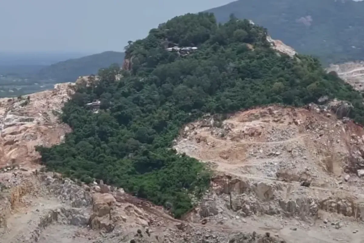 Başvuru yapıldı onaylanırsa İnegöl'de binlerce ağaç kesilecek