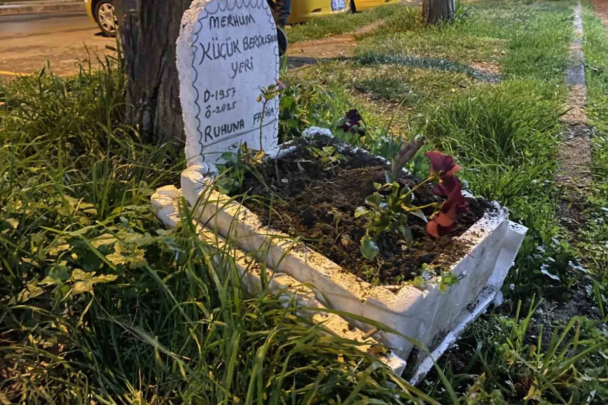 Taksicilerden vefa...Ölen muhabbet kuşları için mini mezar yaptılar