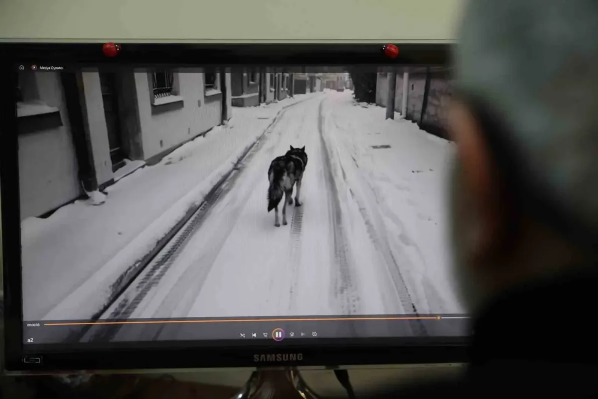 Sahte videolar artık doğrulanabilecek!