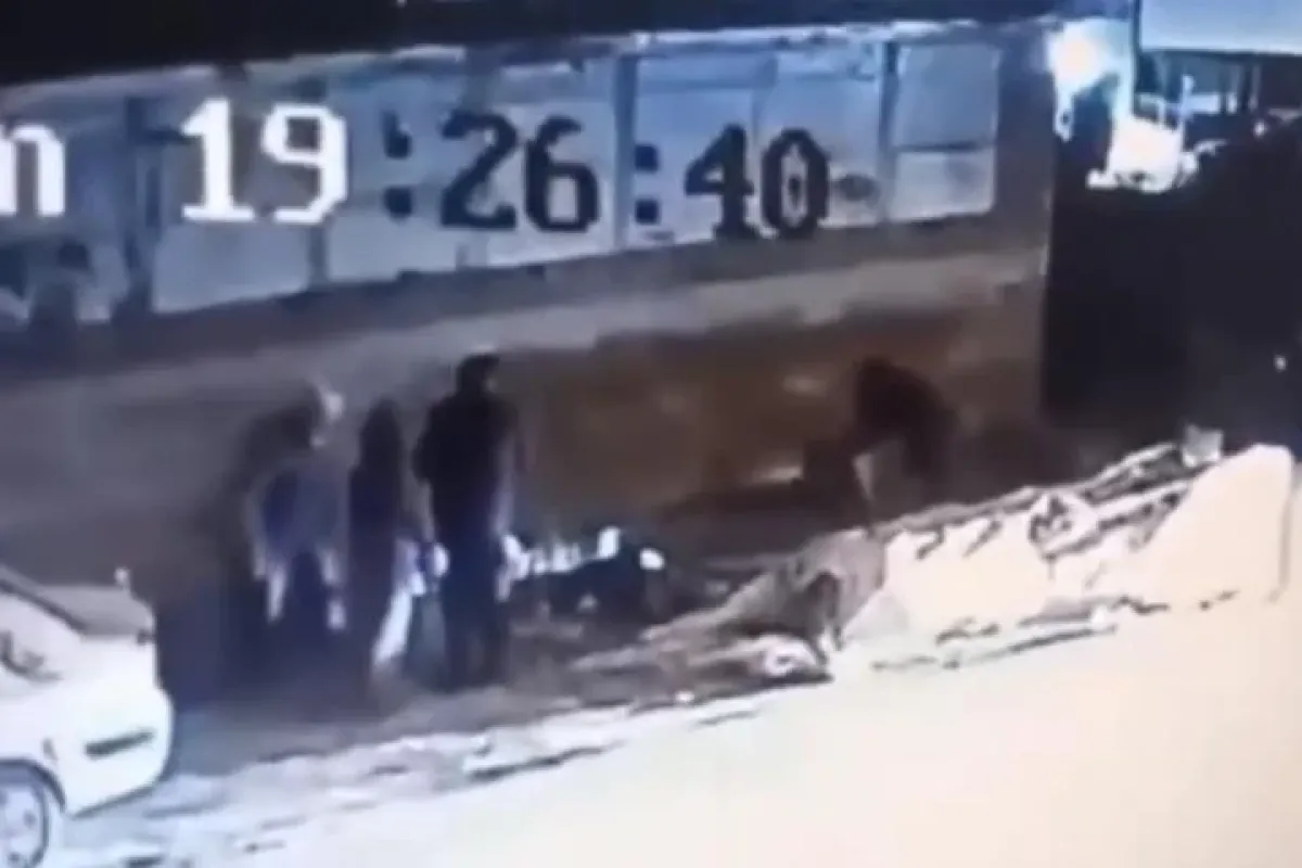 Sokakta başıboş köpek dehşeti! 3 kişi yaralandı