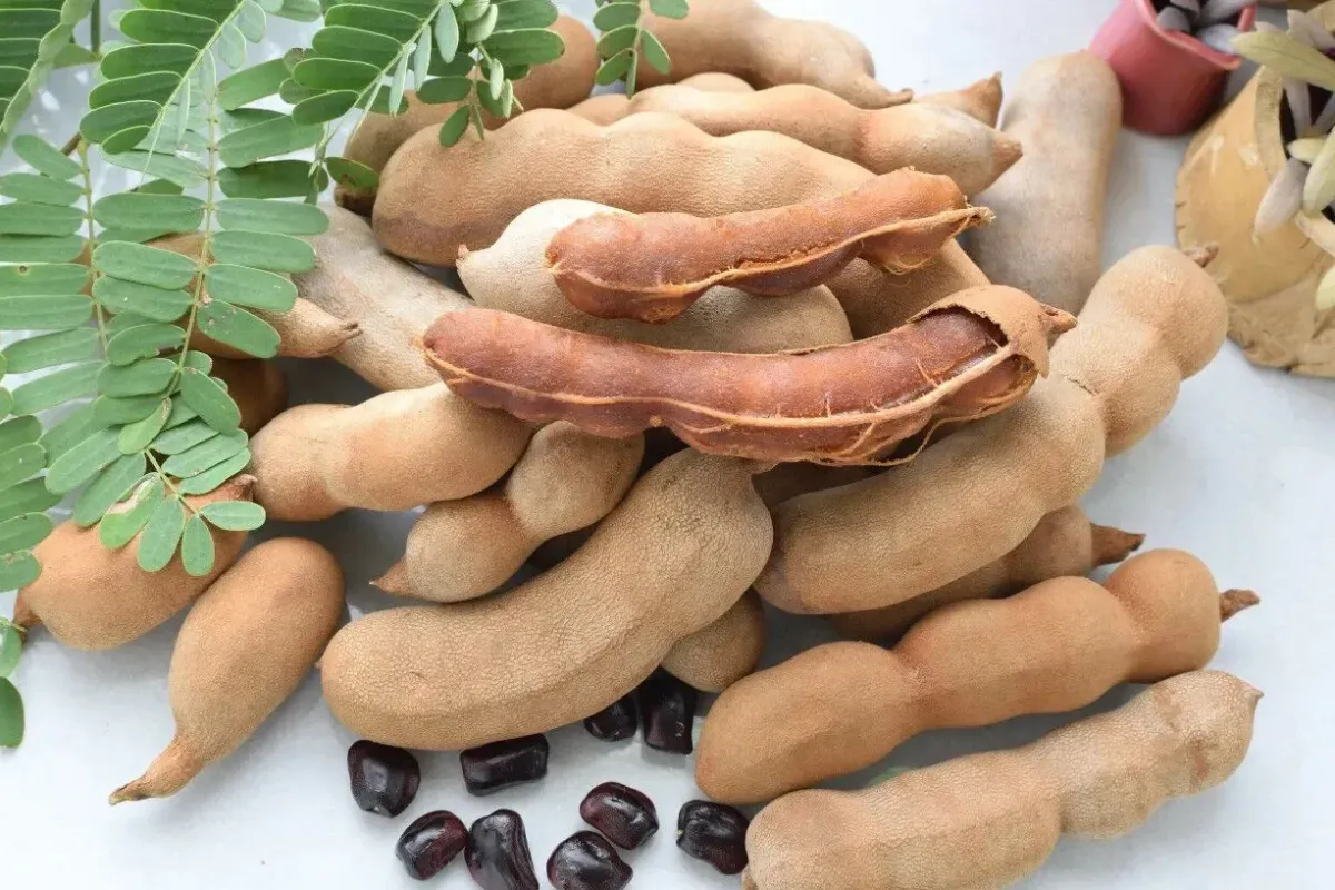 Demirhindi nedir, nasıl tüketilir? Besin değerleri ve etkileri