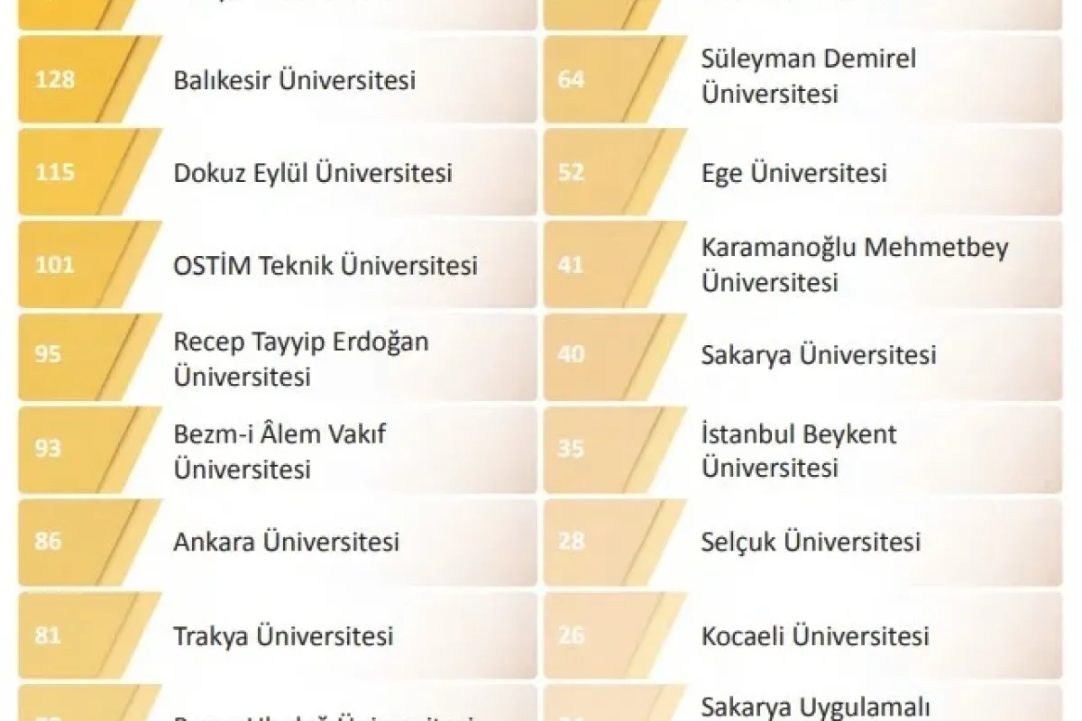 BUÜ, YÖK 2025 Genel Raporunda farkını ortaya koydu