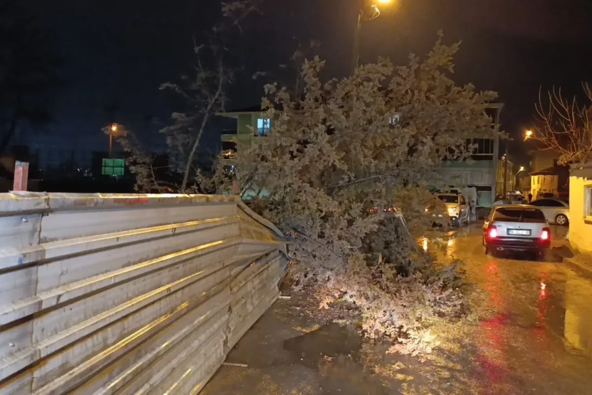 İnegöl’de inşaat alanındaki ağaç yola devrildi
