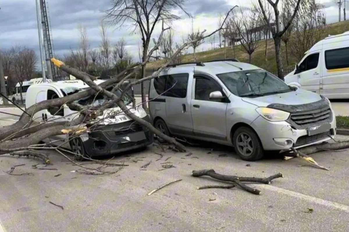 75 km hızla esen lodos Bursa’yı vurdu! Araçlar altında kaldı