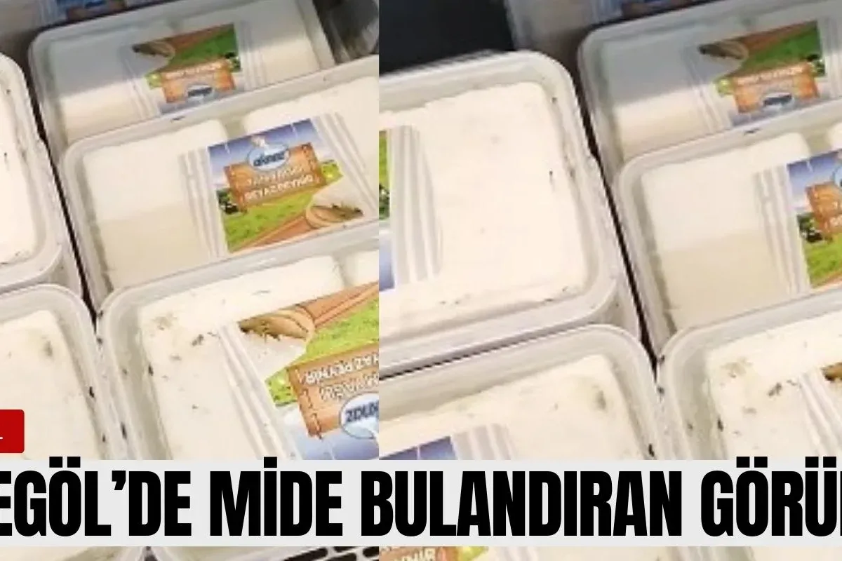 İnegöl'de mide bulandıran görüntü
