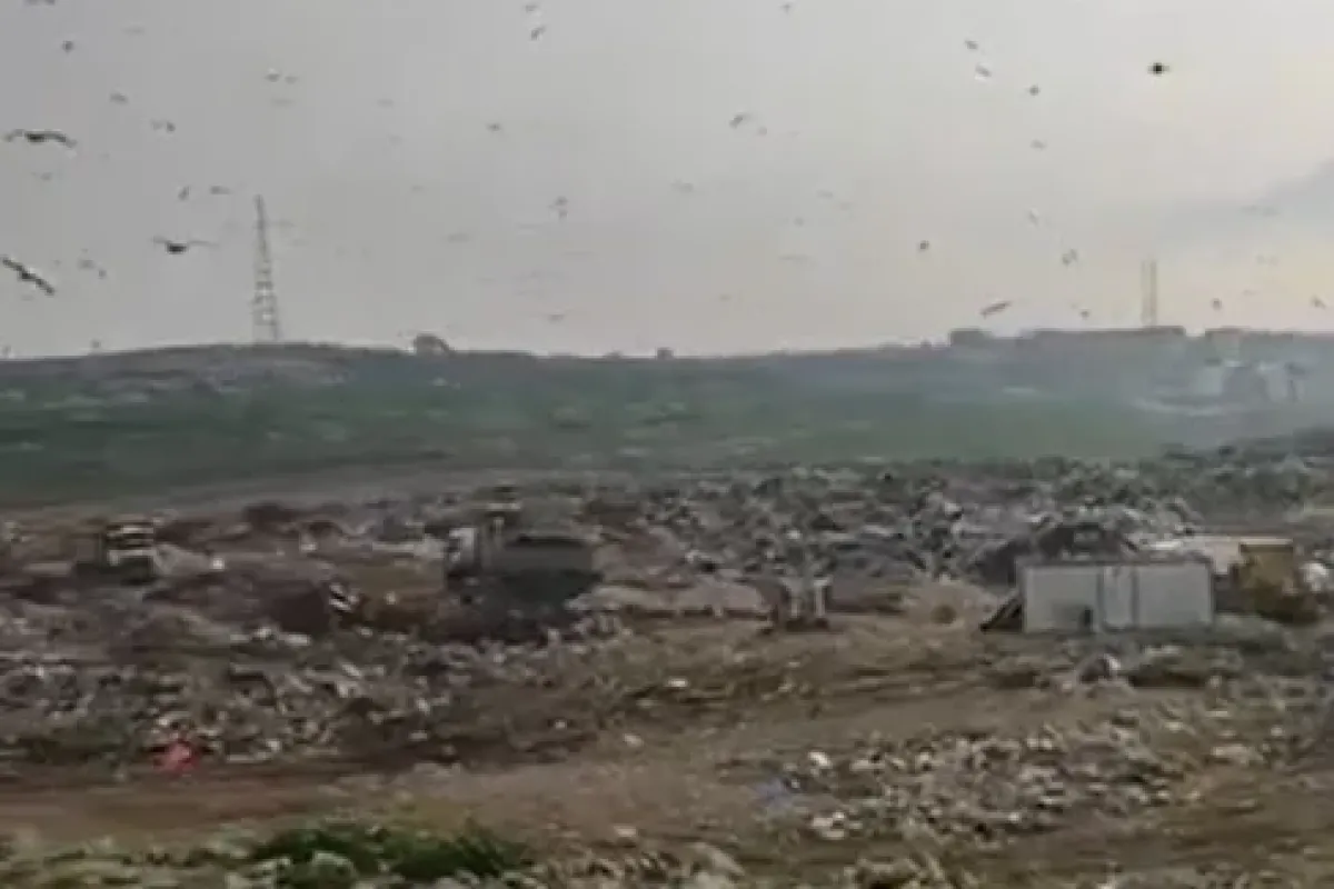 Katı Atık Tesisinde vahşi depolama yapan Bursa Büyükşehir Belediyesi’ne 1.8 milyon TL ceza