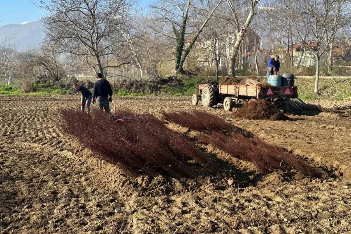 Türkiye’nin meyve bahçeleri Cerrah’ın imzasını taşıyor