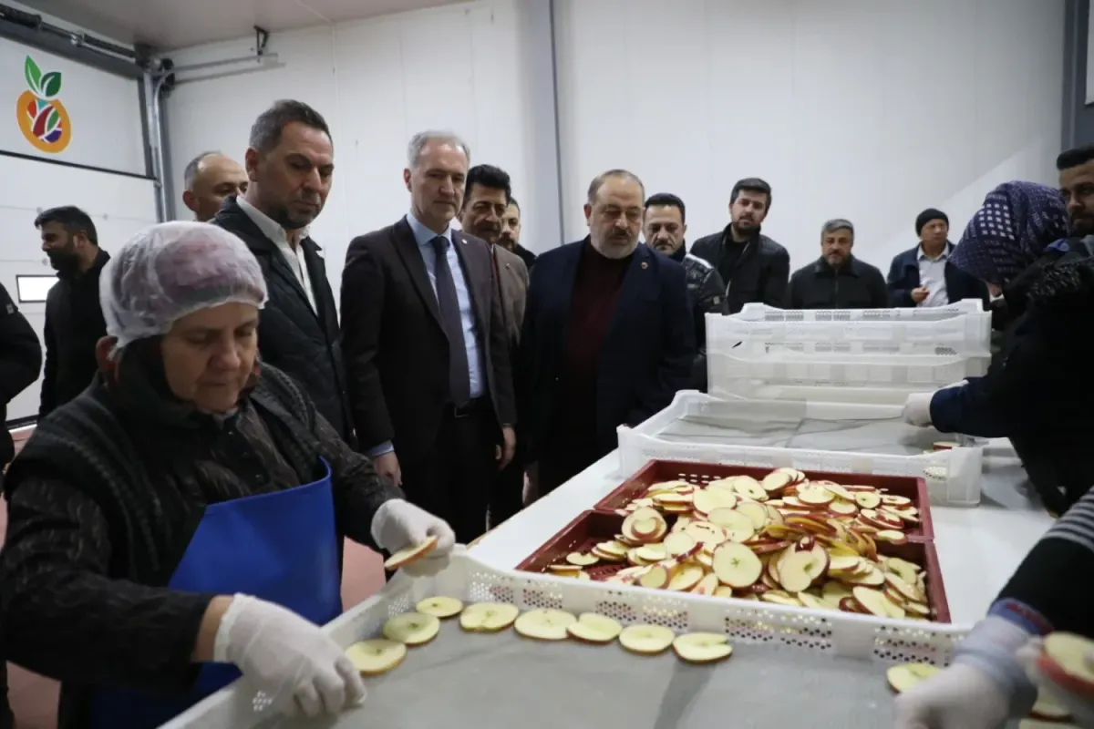 İnegöl meyve kurusu markasıyla dünya pazarına açılıyor