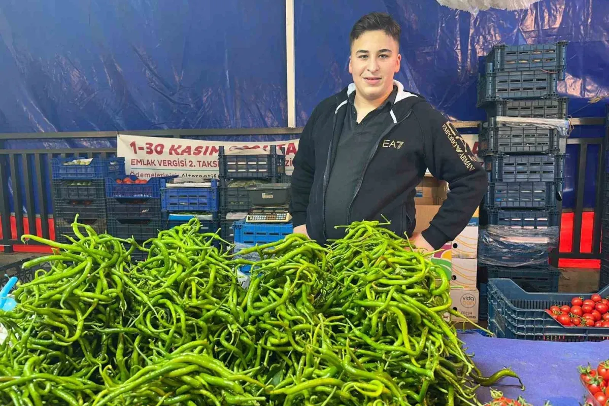 Seraları su basınca sivri biber ve salatalığın ateşi yükseldi