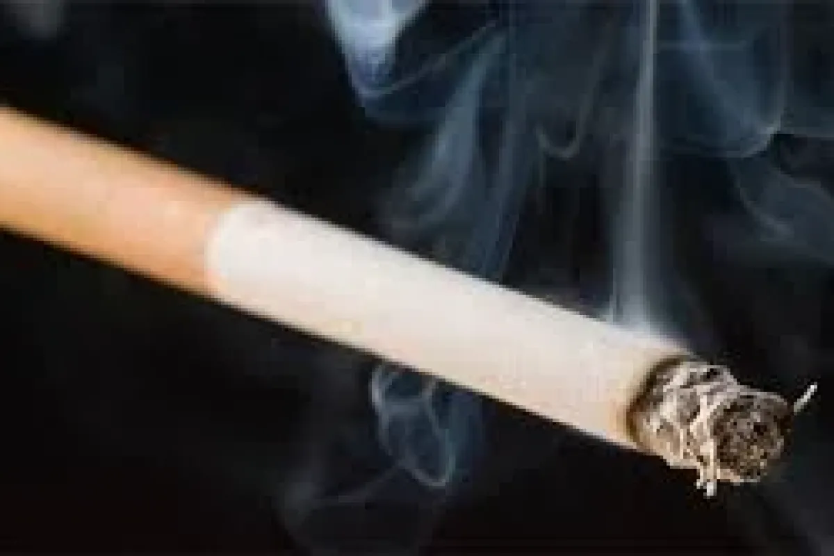 Her yıl can almaya devam ediyor!