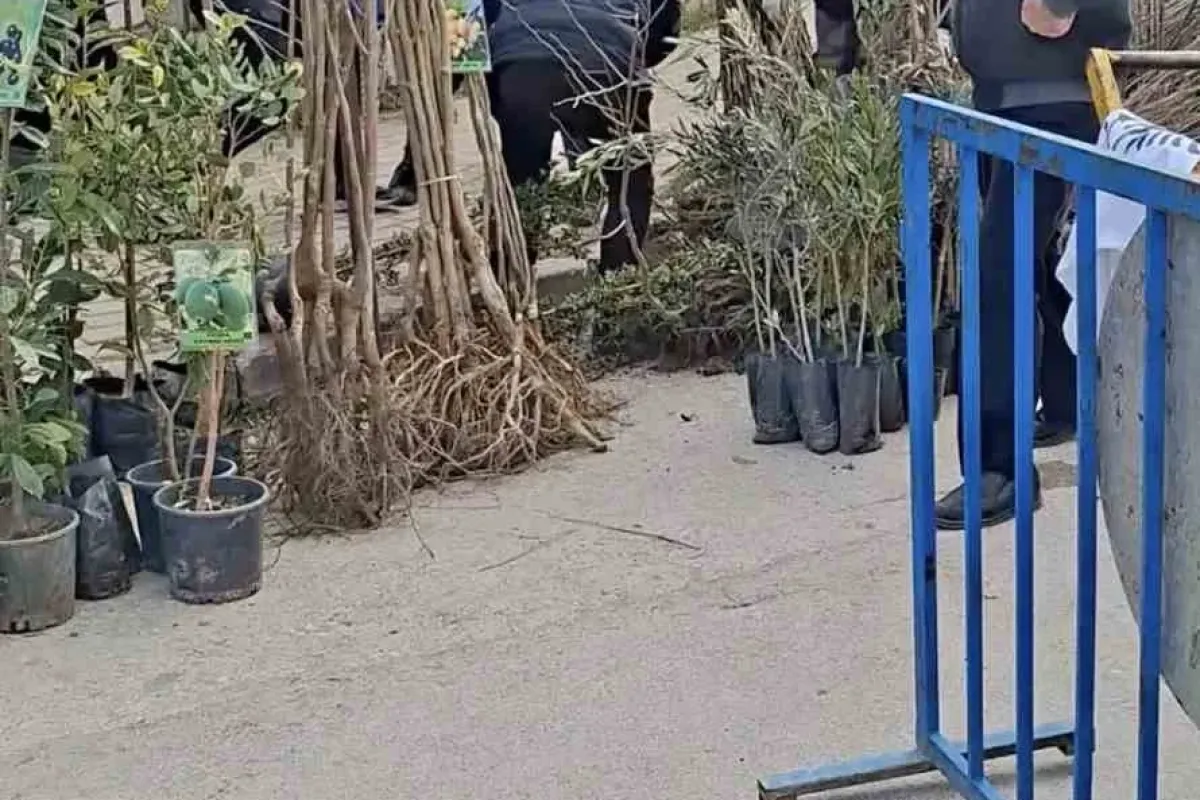 Bursa’da seyyar satıcılardan zabıtaya bıçaklı saldırı, 1 zabıta yaralandı