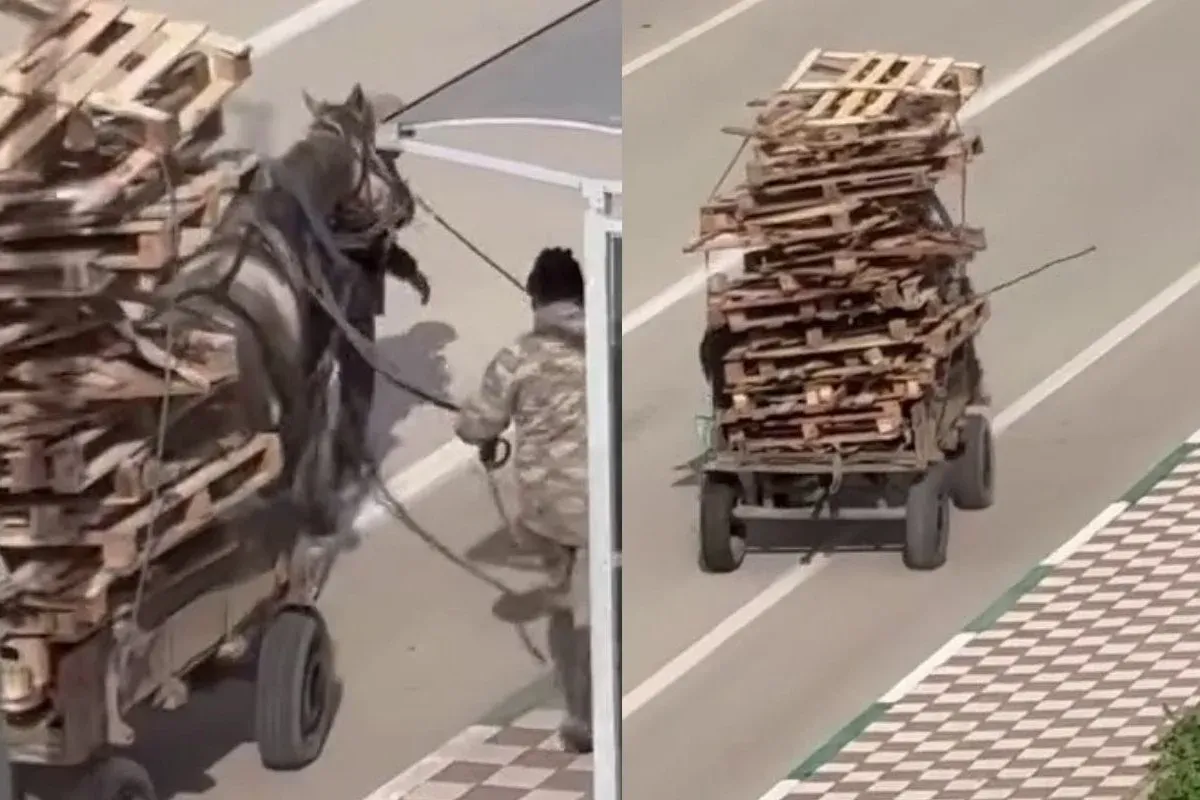 Görüntüyü görenler yok artık dedi!