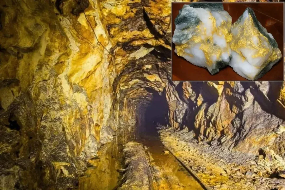 İnegöl'de 17 bin ton altın bulunuyor