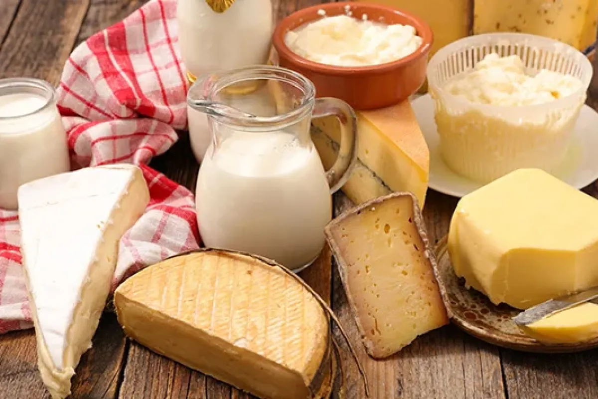 Süt Üretim Maliyetleri Neden Yükseldi? Peynir Fiyatları Gündemde