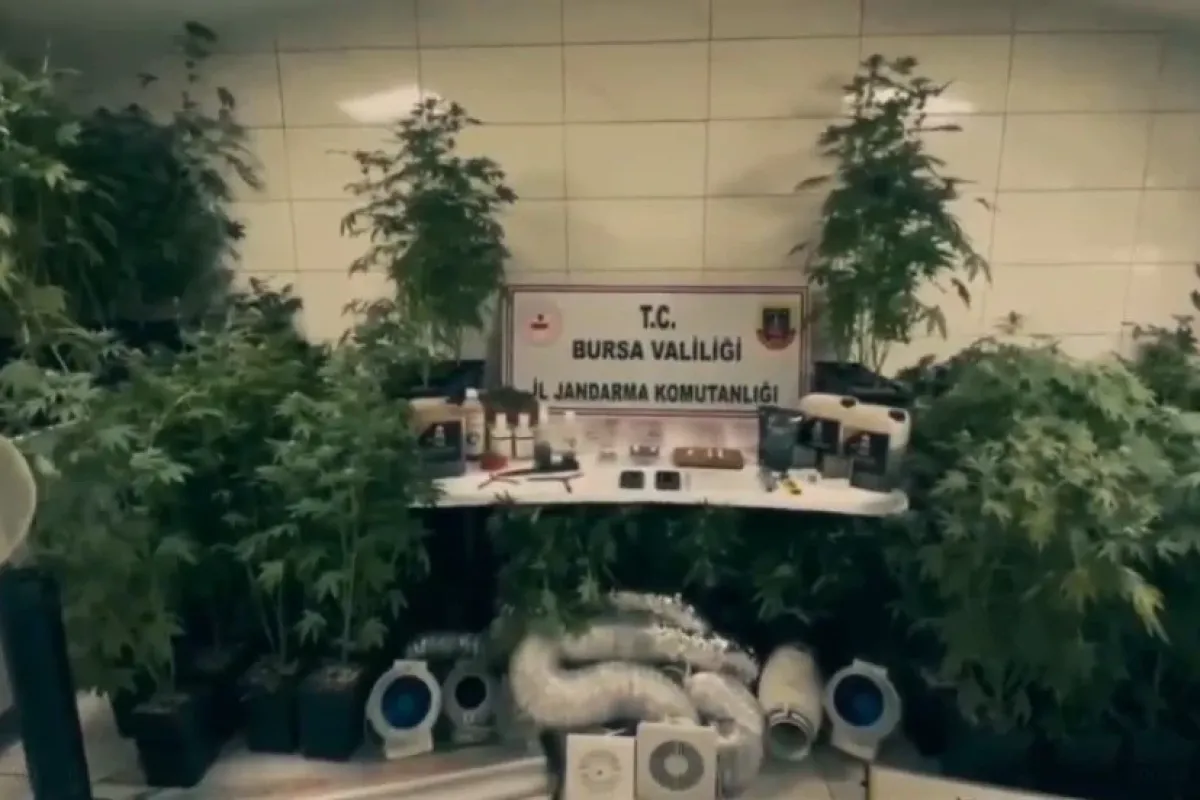 Jandarmadan uyuşturucu tacirlerine ağır darbe!