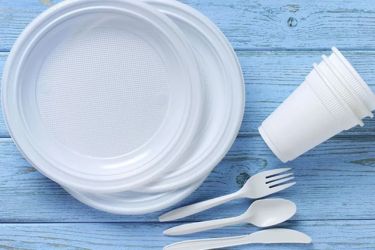 Piknikçilere kötü haber!