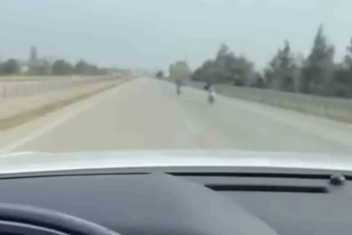 Bursa’da motor üstünde yatarak tehlikeli yolculuk