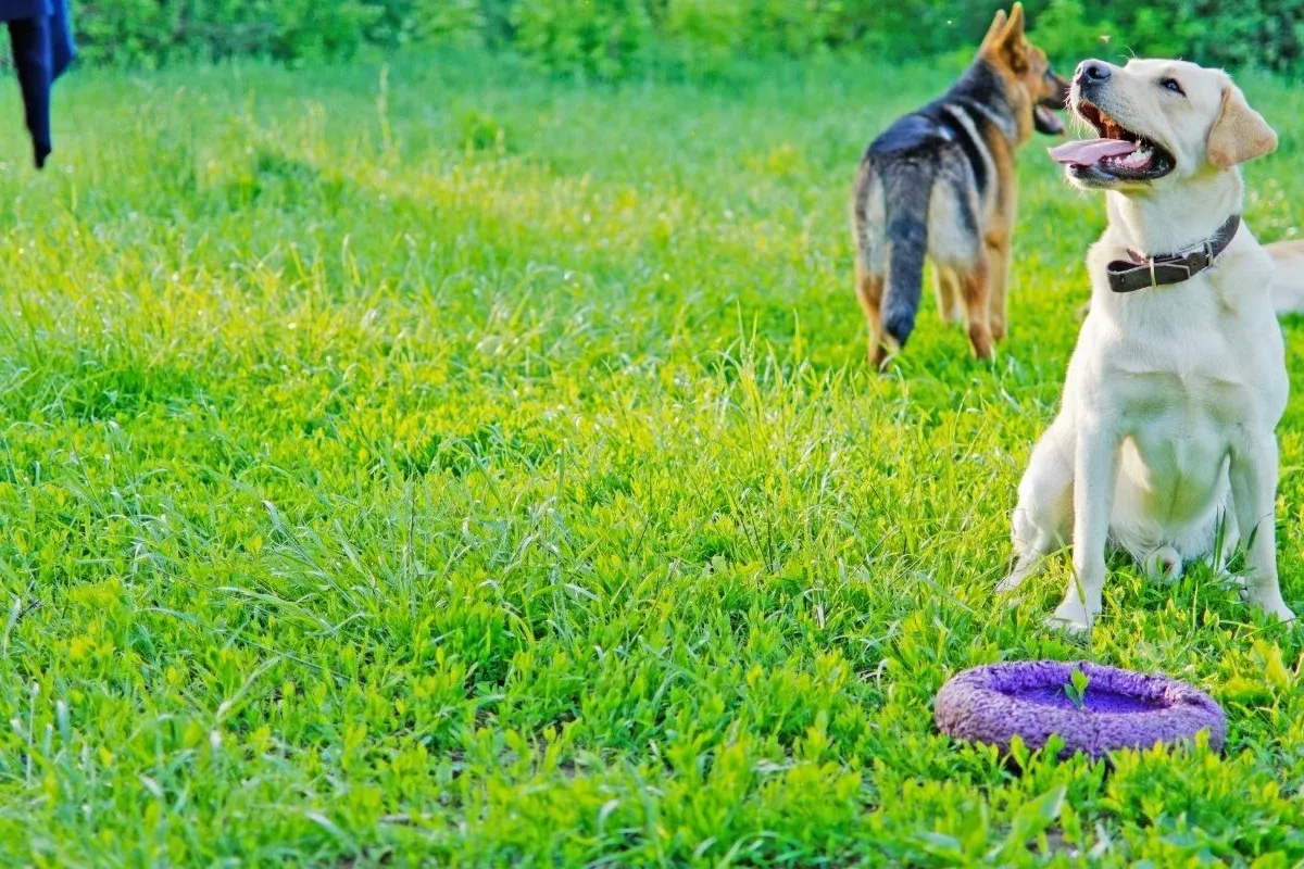 Bu işle ayda 150 bin TL kazandığını iddia etti, okumayın dedi!