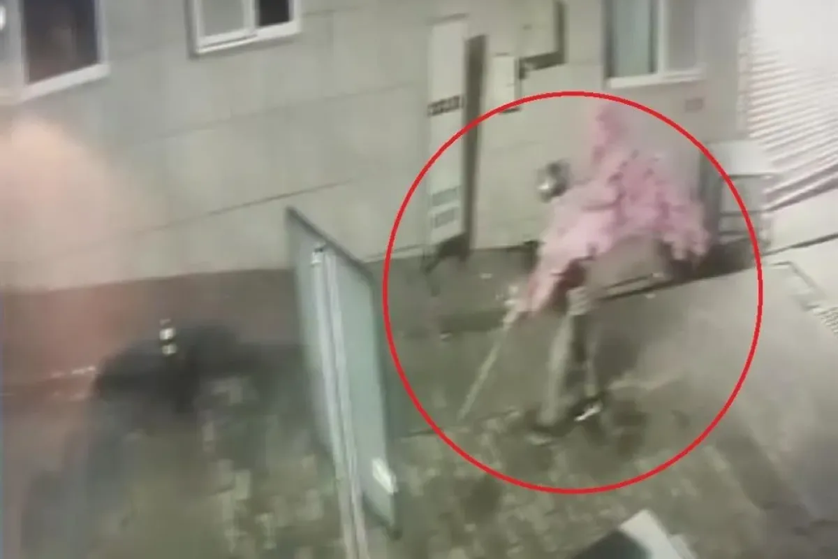 15 bin TL'lik ağacı sırtladı!