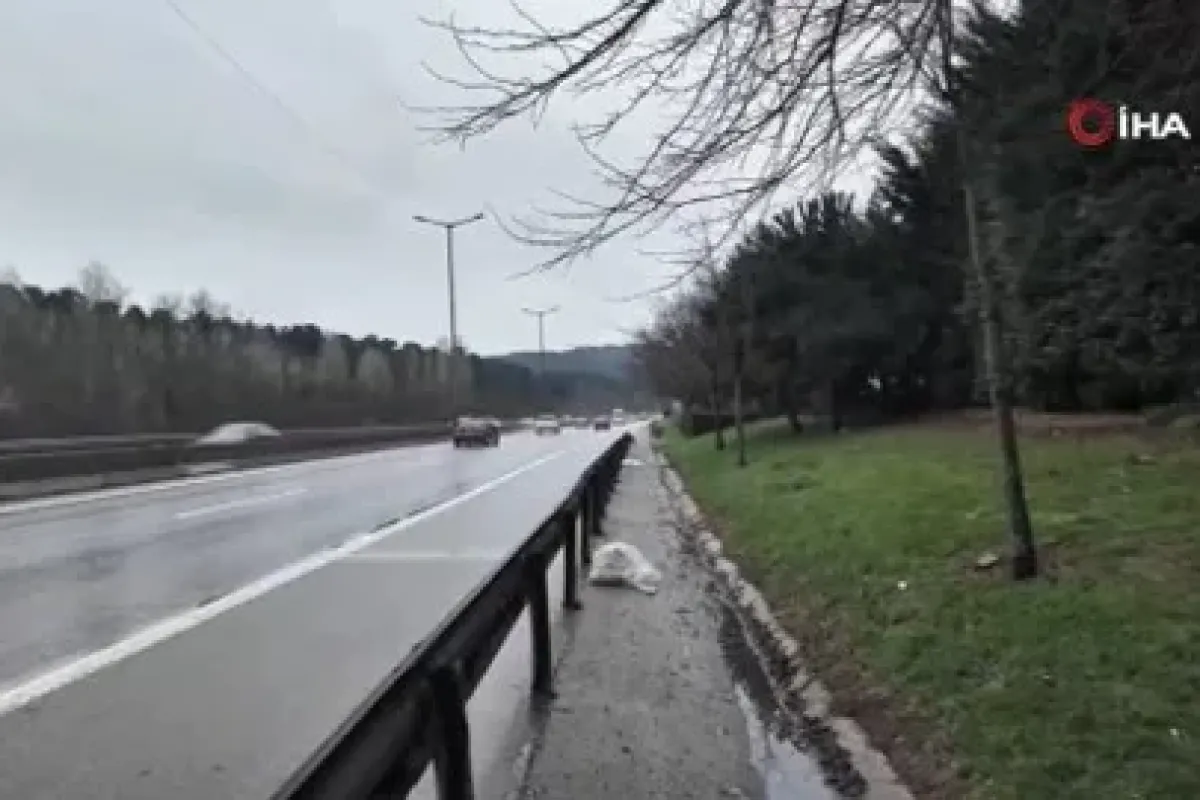 Yol kenarında beze sarılı bebek bulundu!