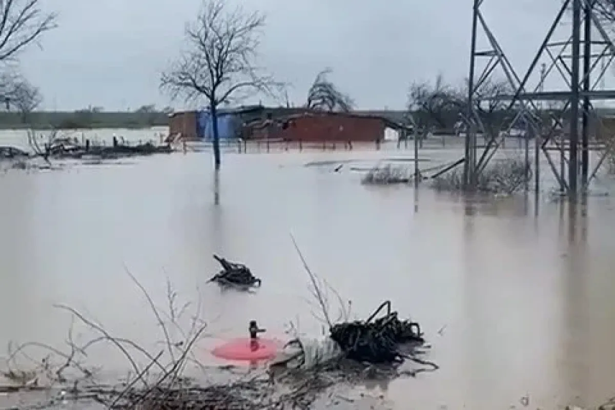 Sağanak Bursa’yı vurdu: Tarlalar göle döndü, hayvanlar mahsur kaldı