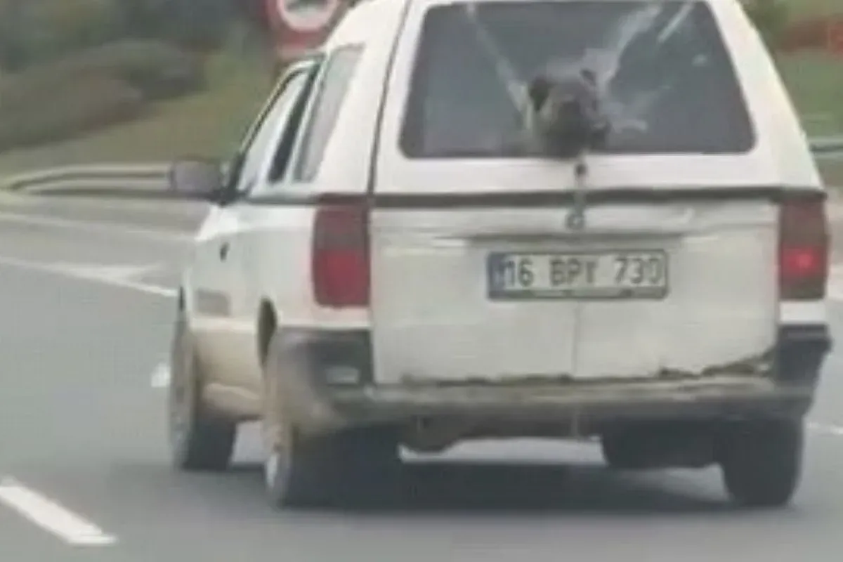 İnegöl trafiğinde şaşırtan görüntü