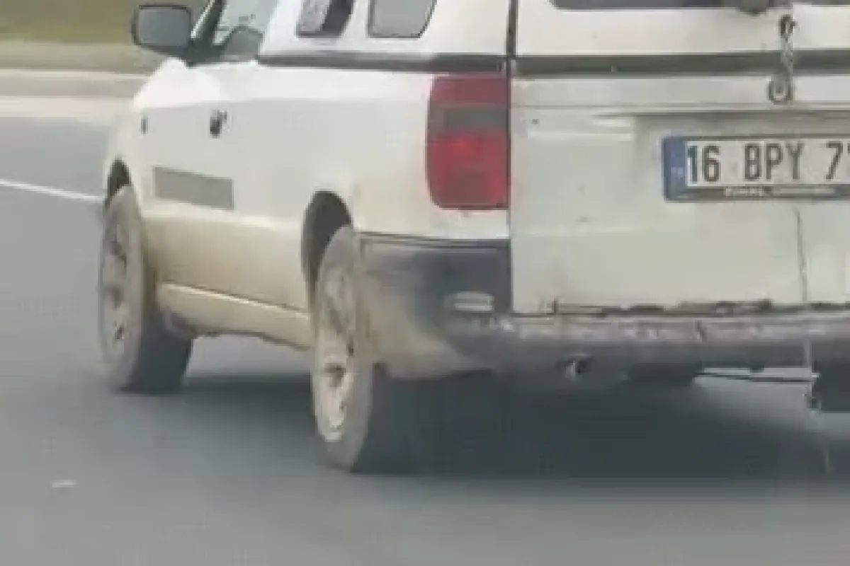 Köpeğin komik anları kamerada