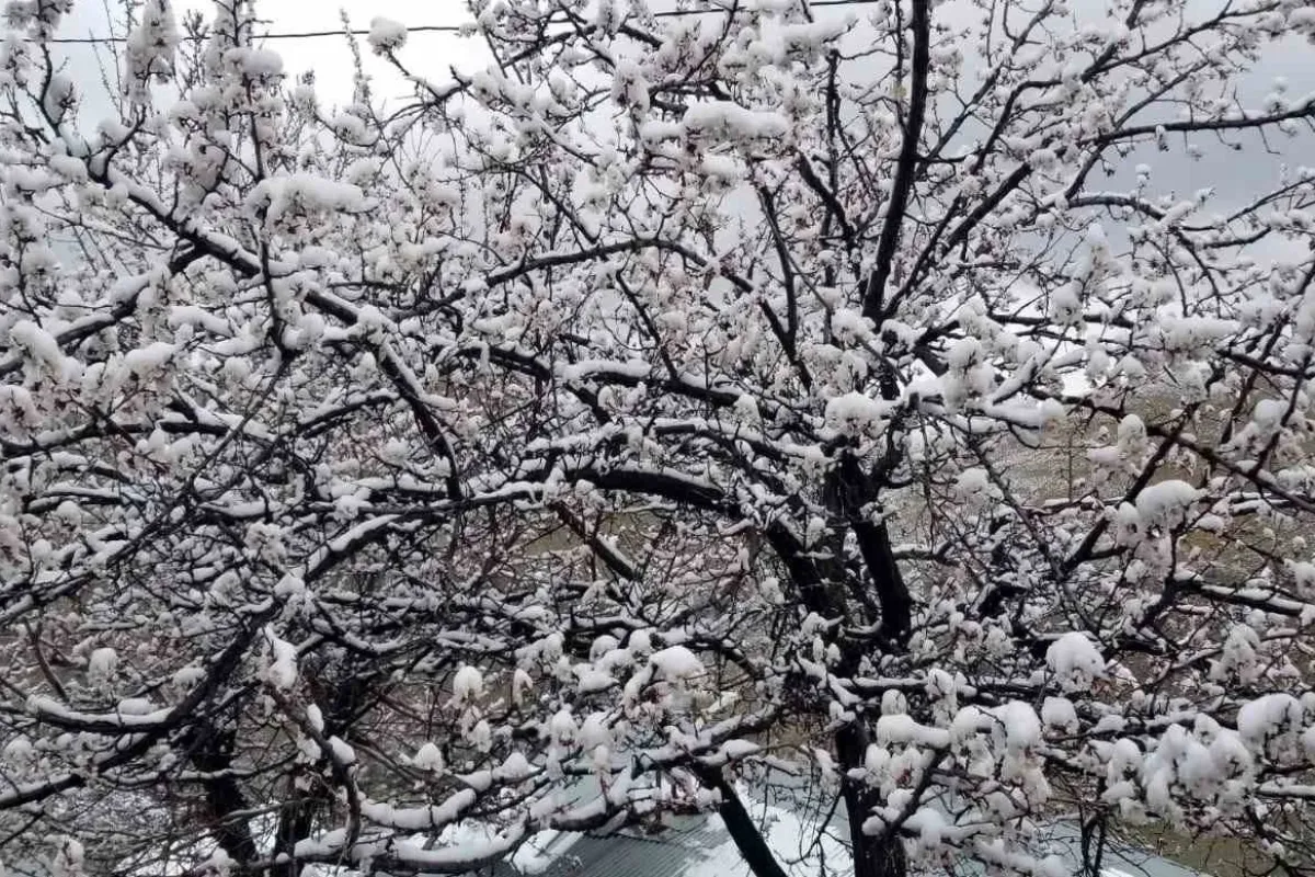 Bursa Valiliği’nden İnegöl'e zirai don uyarısı