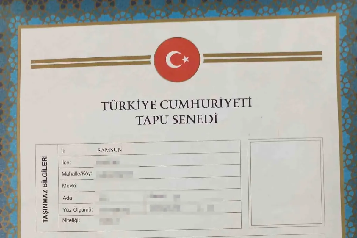 Hemen tapu bilgilerinizi kontrol edin!