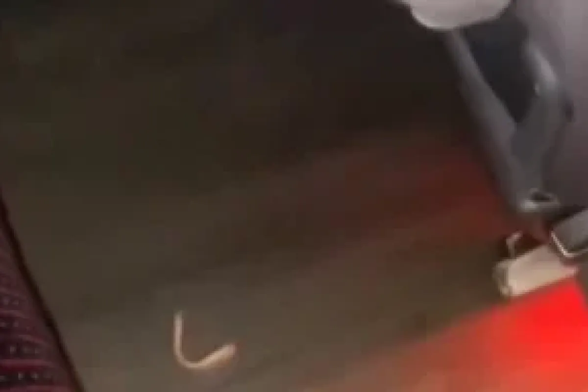 Otobüste takma diş arayışı kahkahaya boğdu