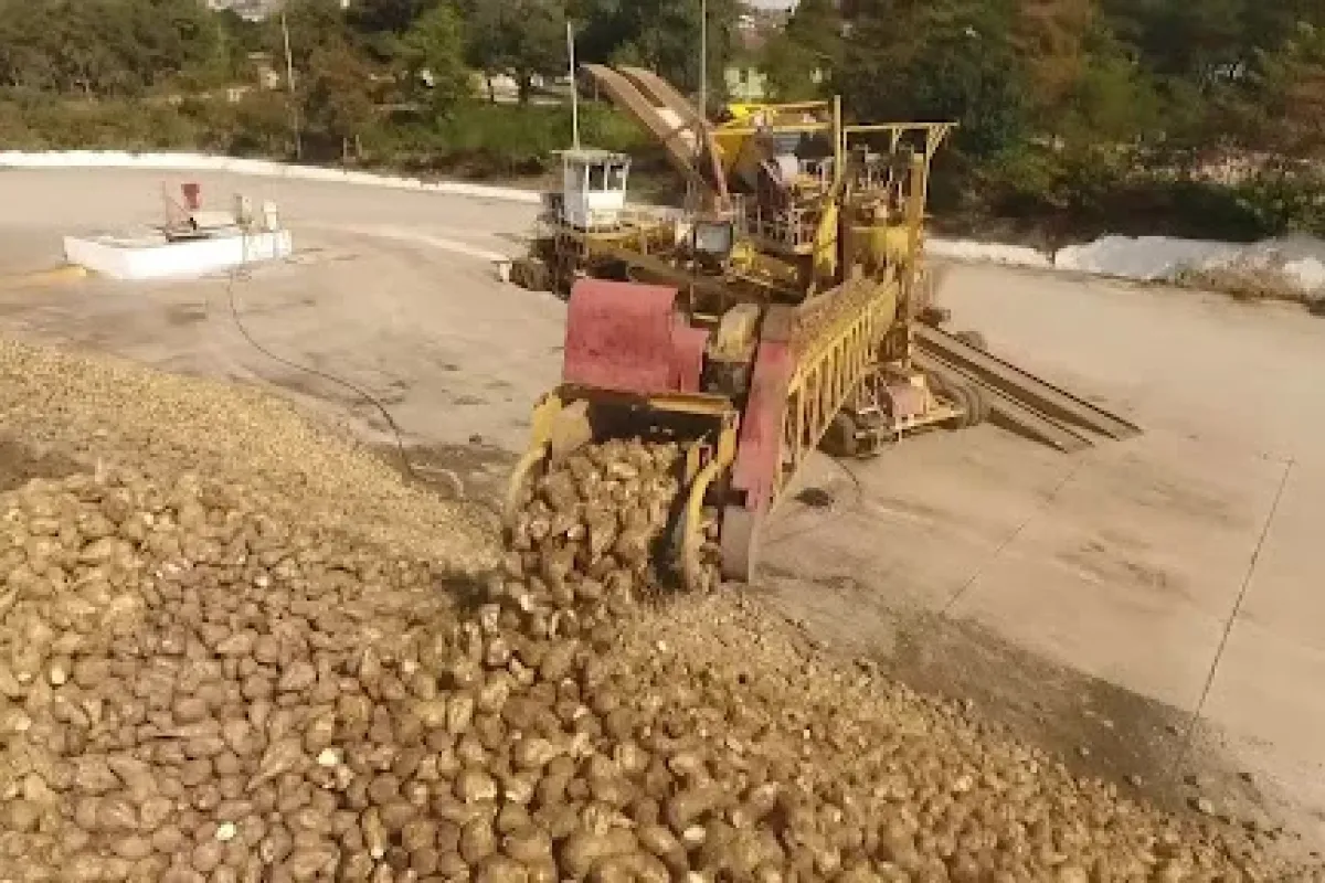 73 yıllık dev fabrikada 500 işçi işsizlikle karşı karşıya