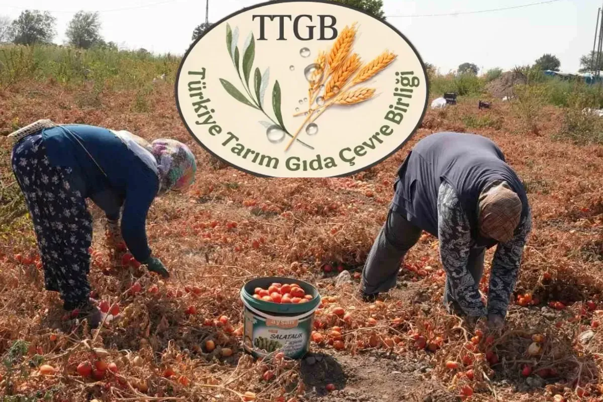 Tarım sektöründe büyük birleşme! TTGB resmen kuruldu