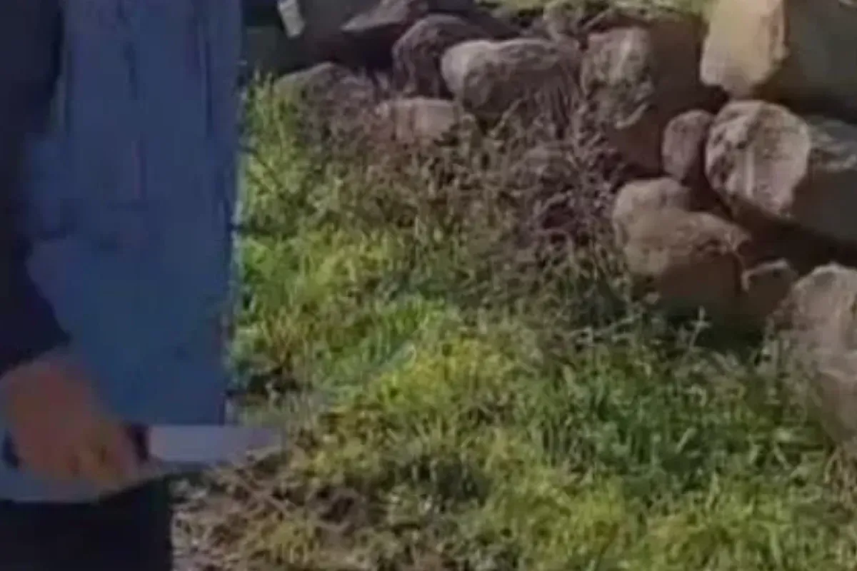 O ilde 23 Nisan kana bulandı! Çocuk servisine...